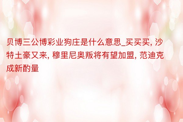 贝博三公博彩业狗庄是什么意思_买买买, 沙特土豪又来, 穆里尼奥叛将有望加盟, 范迪克成新酌量