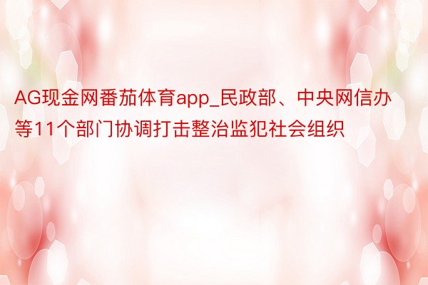 AG现金网番茄体育app_民政部、中央网信办等11个部门协调打击整治监犯社会组织